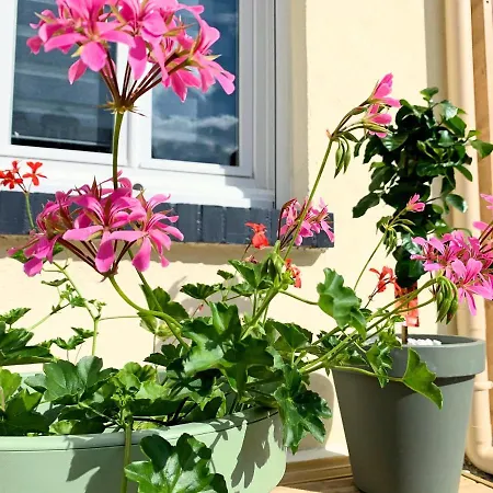 Apartamento Eco-appart'hotel - Jdp