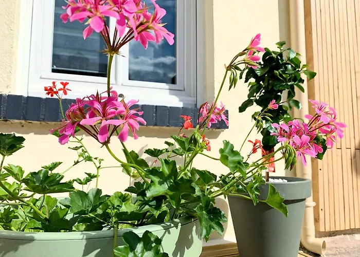 Appartement Eco-appart'hôtel - Jdp